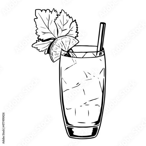 Isolated herbal cocktail draw drink bar illustration vector