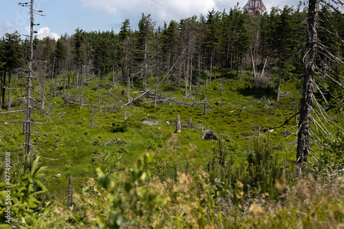 Fototapeta Naklejka Na Ścianę i Meble -  Krajobraz górski po halnym. Beskidy