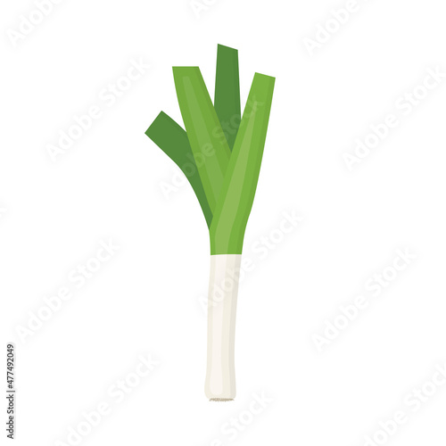 fresh leek vegetable -vector illustration