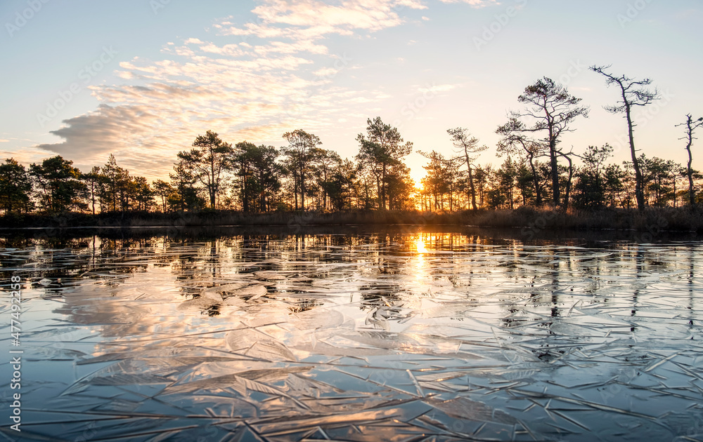 Fototapeta premium gorgeous sunrise on a bog lake in estonia