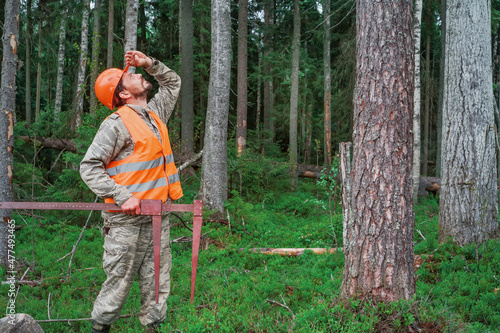 Forest worker with a measuring tool works in the forest.