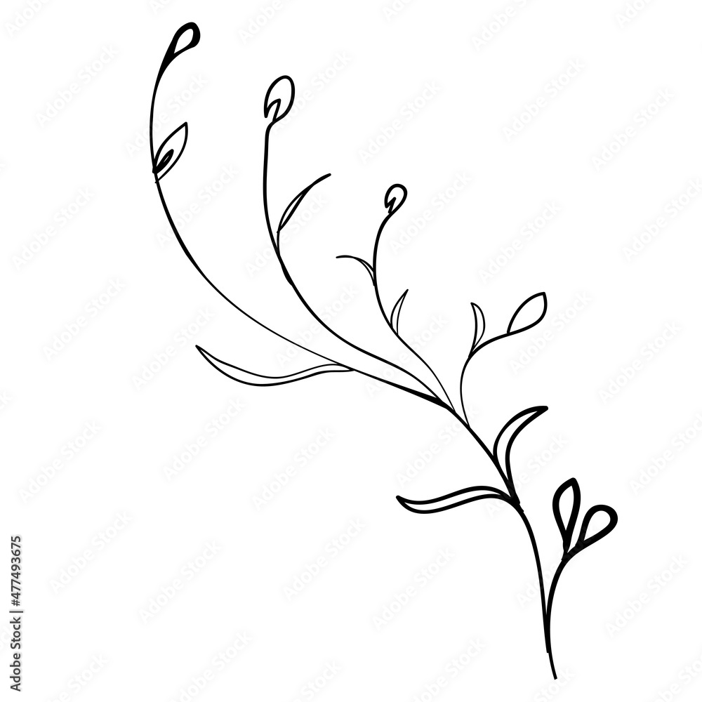 Sketch branch of leaves by hand on an isolated background