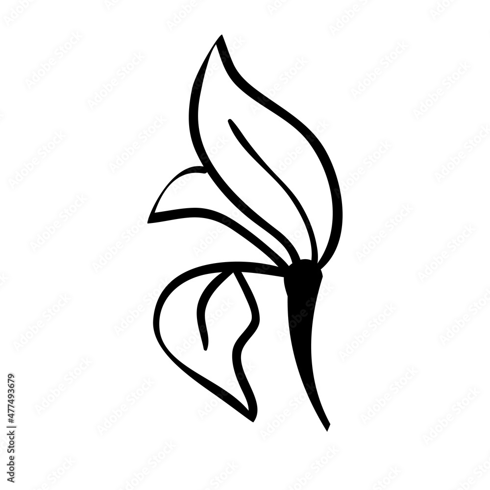 Naklejka premium Sketch branch of leaves by hand on an isolated background