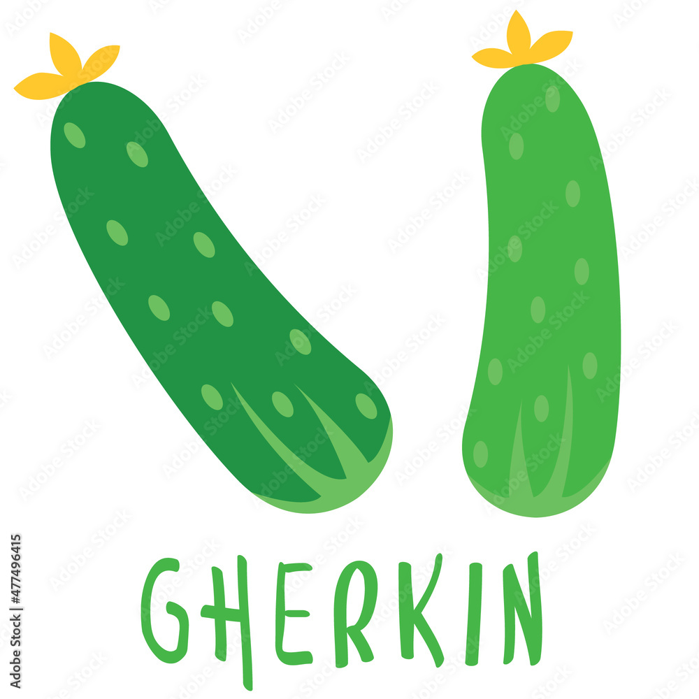 green cucumber on white background green cucumber on white background