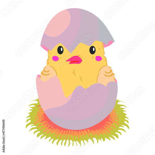 Chicken hatching stages. Newborn little cute chick, small baby bird emergence from egg, cracked shell in laying hens nest. Easter chicks concept. Funny domestic animal vector 