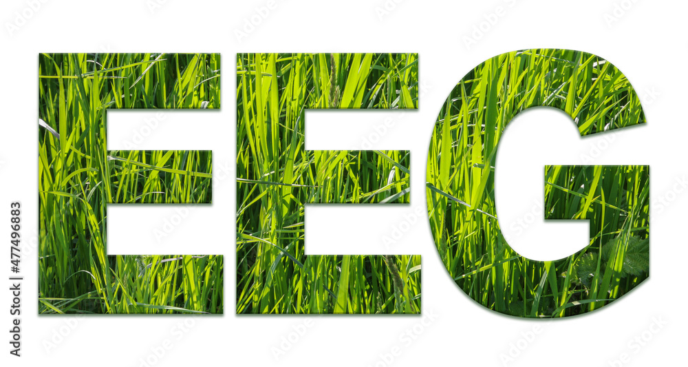 EEG Erneuerbare-Energien-Gesetz EEG Erneuerbare-Energien-Gesetz