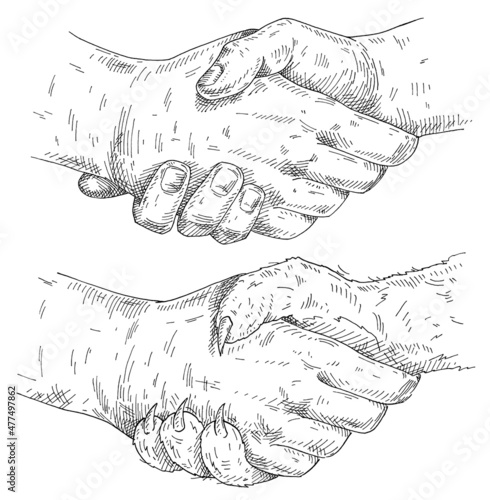 Handshake cat paw and human hand. Vintage vector monochrome hatching illustration isolated on a white
