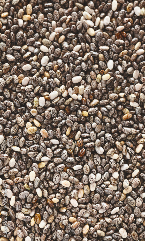 Extreme close up picture of chia seeds, selective focus, natural food background. Extreme close up picture of chia seeds, selective focus, natural food background.