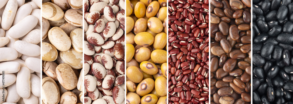 Collage of assorted beans. White, yellow, azuki, brown, rajado and black uncooked beans in panoramic format Collage of assorted beans. White, yellow, azuki, brown, rajado and black uncooked beans in panoramic format