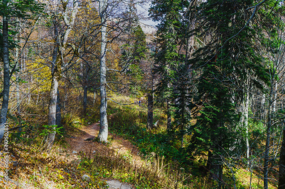 Fototapeta premium Mountain 