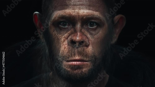 Portrait morph. Monkey turns into man. Chimpanzee (Pan troglodytes) slowly morphs into adult caucasian man (Homo sapiens) photo