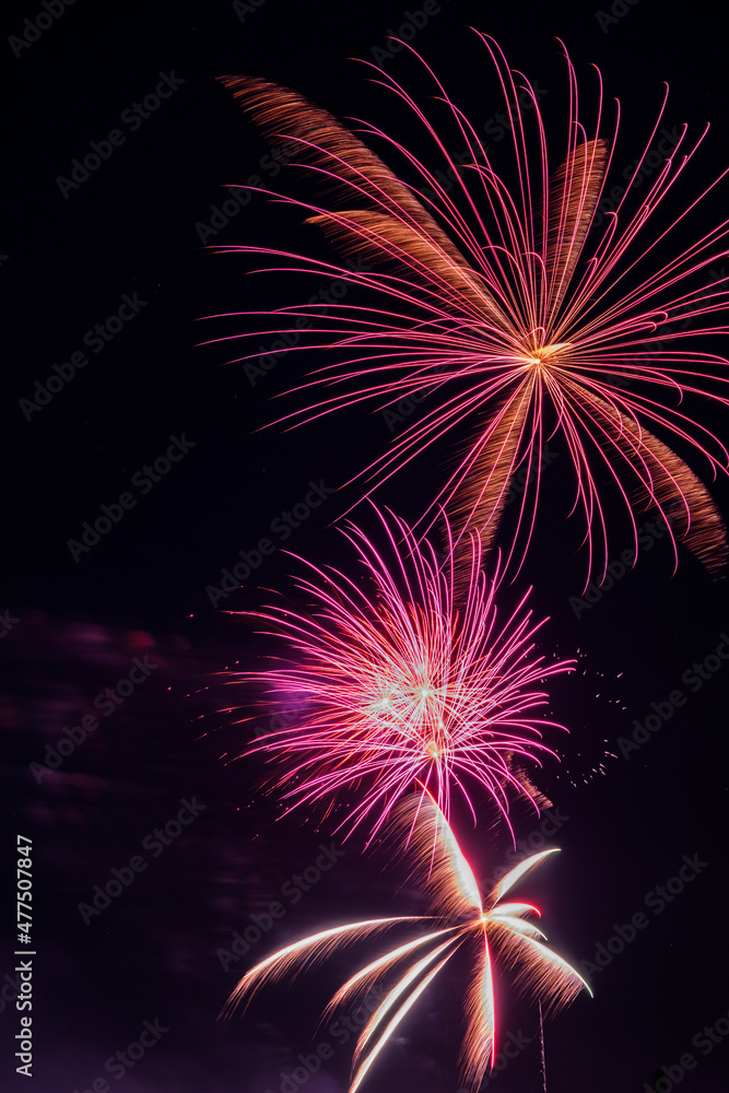 Feathery fireworks photo. 