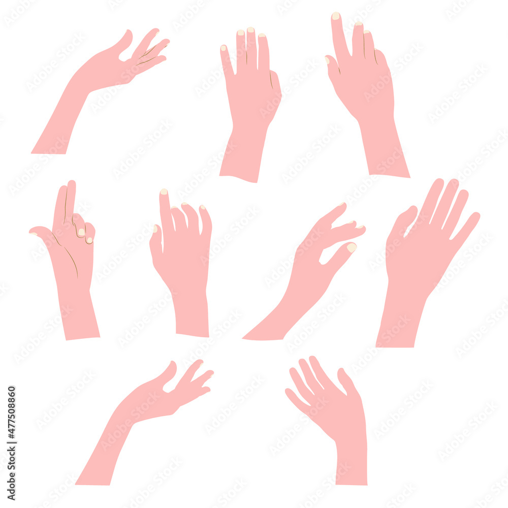 A set of elegant female hands in different poses