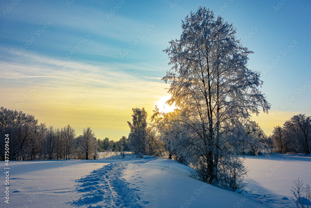 Nature. Beautiful winter landscape. Trees in the snow, a city park for recreation.