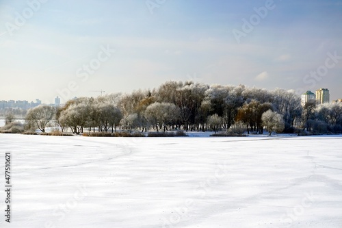 Between Christmas and New Year. Sunny day in the city of Minsk near the Chizhovsky reservoir. Park and frost on the trees © Anatoliy