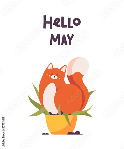 Card hello may with a cat, isolated on white background