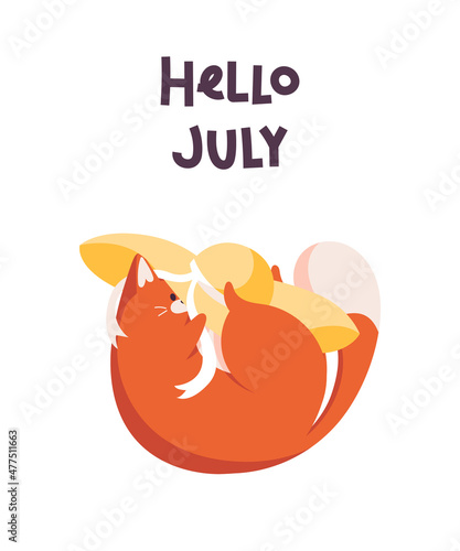 Card hello july with a cat, isolated on white background