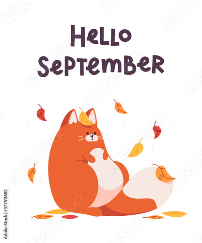 Card hello september with a cat, isolated on white background