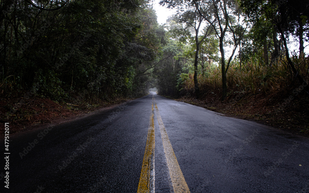 road in the middle of the forest, botucatu road in the middle of the forest, botucatu