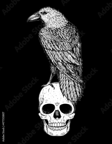 Skull and raven hand drawn illustration. Tattoo vintage print. Skull hand drawn print. Tattoo design. Raven sitting on a skull
