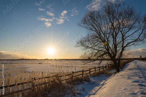 Sunrise in the frozen reserve.  © Bogumił Dłubek