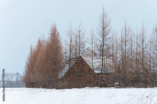 Wooden small house in winter