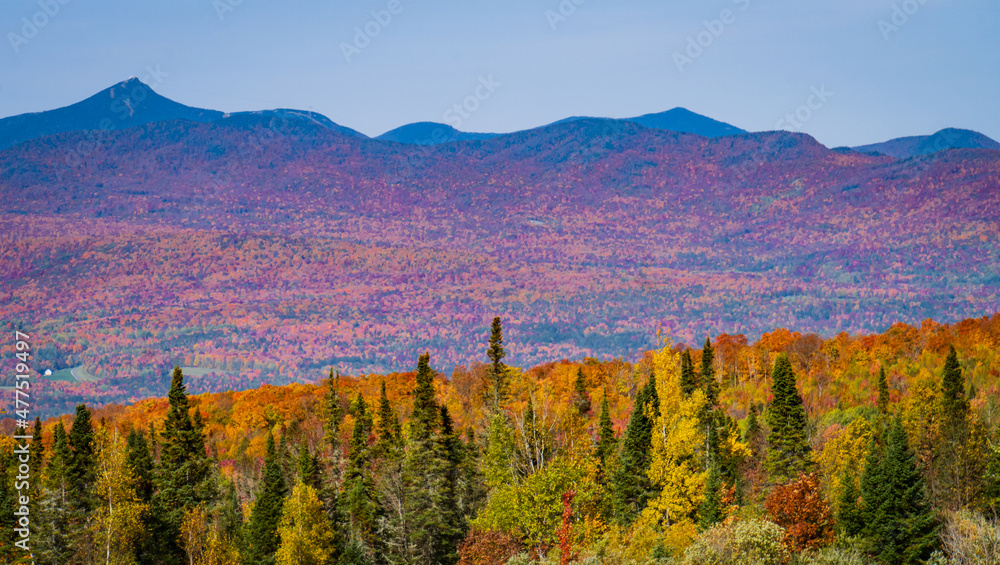 autumn foliage colors brighten up the landscape in the Vermont countryside
