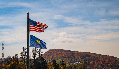 United States and Vermont State Flag blowing in the wind on an autumn day
 photo