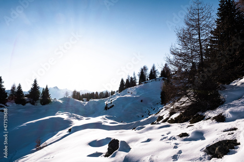 Wallpaper Mural winter mountain landscape Torontodigital.ca