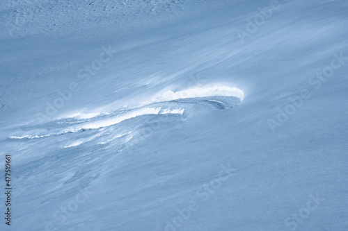 Wallpaper Mural fish on the snow Torontodigital.ca