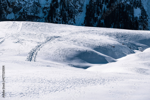 Wallpaper Mural snow covered trees Torontodigital.ca