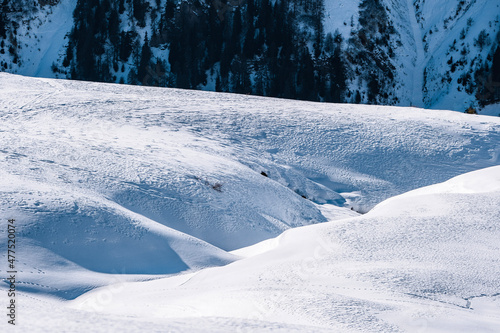 Wallpaper Mural snow covered trees Torontodigital.ca
