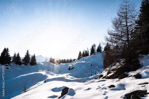 Wallpaper Mural winter mountain landscape Torontodigital.ca