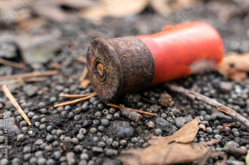 Soil contamination by lead pellets due to excessive hunting. The ground is covered with lead pellets and an old shotgun cartridge. Selective focusing photo