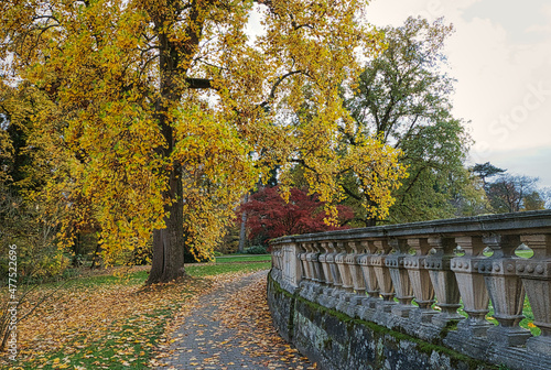 Großer alter Baum mit Herbstlaub, alte Steinmauer, Schlosspark, Baum mit gelben Blättern