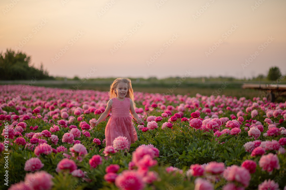 cute little girl running on a peony field against a sunset background. cute little girl running on a peony field against a sunset background.