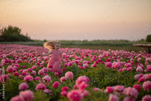 cute little girl running on a peony field against a sunset background.