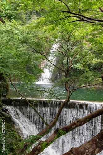 Nunobiki waterfall in Kobe, Hyogo, Japan © Kazu