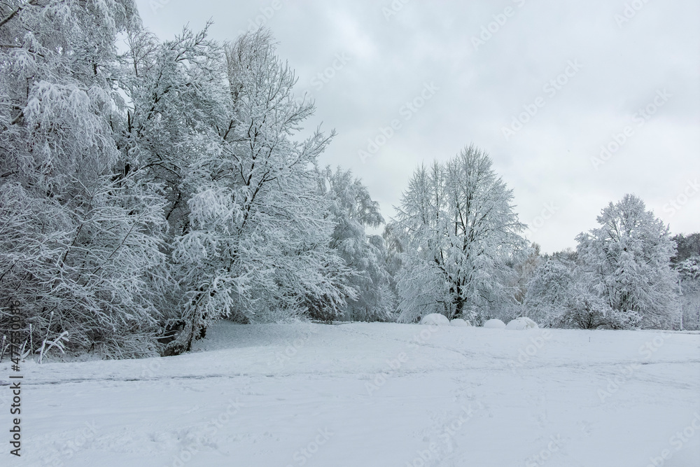 Winter landscape of South Park in city of Sofia, Bulgaria Winter landscape of South Park in city of Sofia, Bulgaria