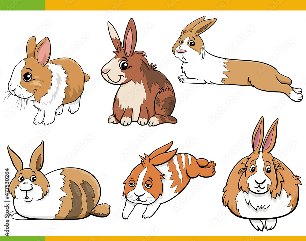 cartoon miniature rabbits animal characters set cartoon miniature rabbits animal characters set