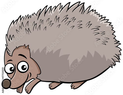 funny cartoon hedgehog animal character