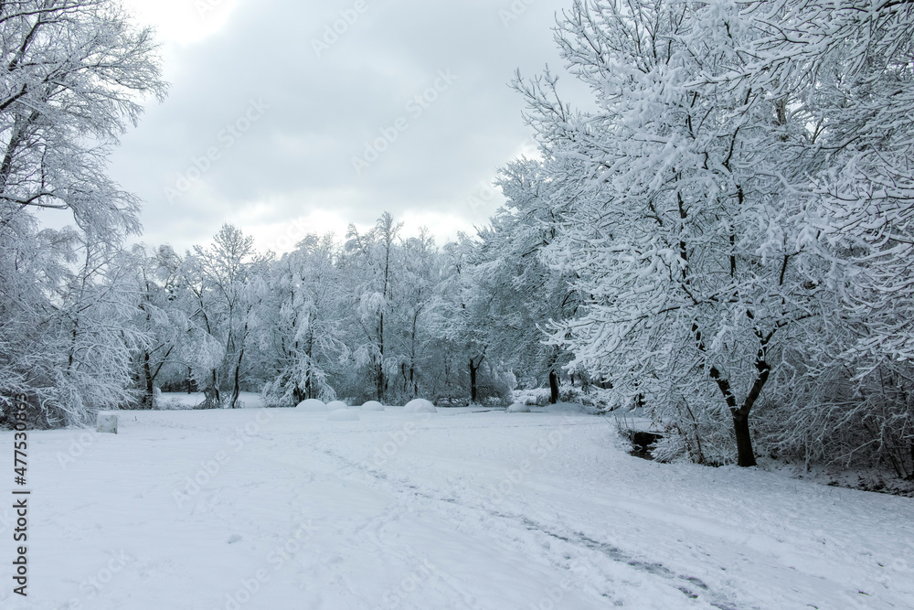 Fototapeta premium Winter landscape of South Park in city of Sofia, Bulgaria