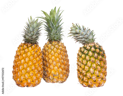 Three fresh pineapples isolated
