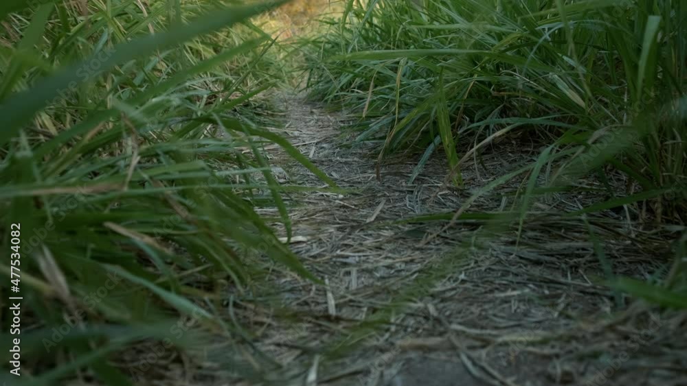 Moving on countryside road with green fields. Slow motion. Moving on countryside road with green fields. Slow motion.