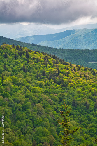 Blue Ridge Parkway