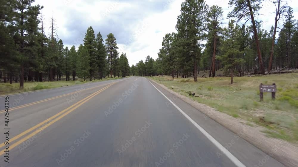Driving Plate Bryce Canyon Scenic Drive Southbound Multicam Set 02 Front View Sunrise Point Utah Southwest USA Driving Plate Bryce Canyon Scenic Drive Southbound Multicam Set 02 Front View Sunrise Point Utah Southwest USA