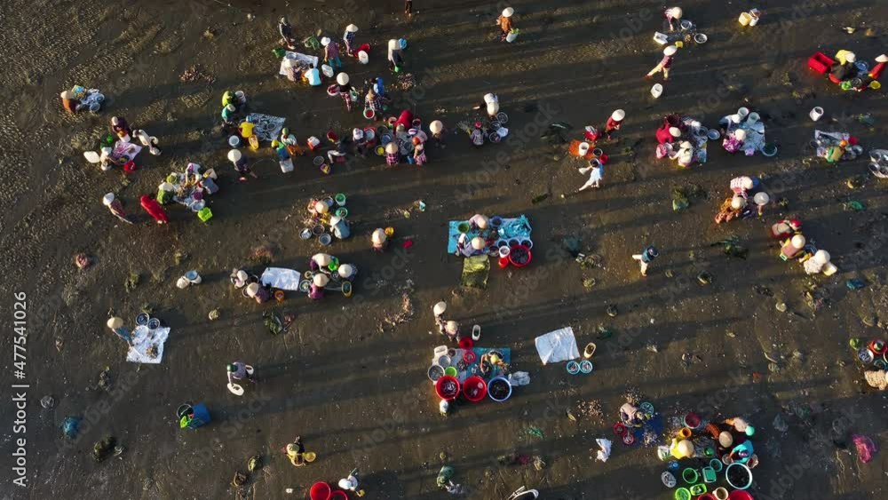 Women work cleaning and sorting fish and seafood on beach. Aerial birds eye static Women work cleaning and sorting fish and seafood on beach. Aerial birds eye static