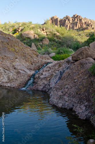 Superstition Mountain Wilderness Area