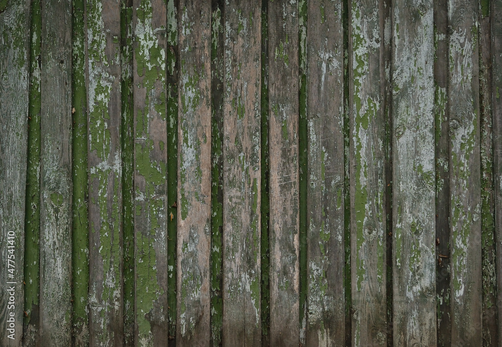 Fototapeta premium Old wood texture background, wooden board, rustic fence.