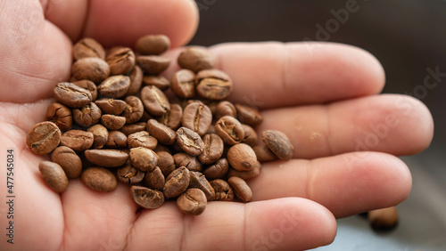 hand holding roasted coffee beans, have copy space